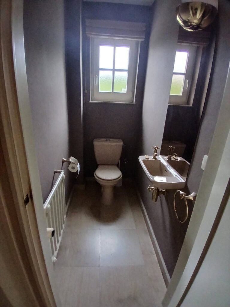 WC suspendu dans des toilettes rénovées